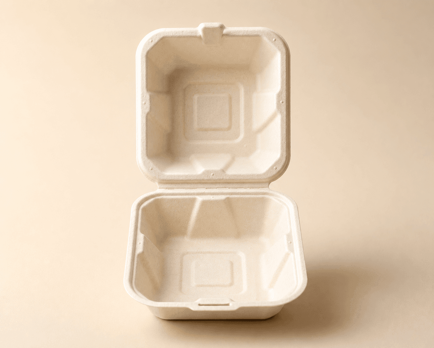 White 500ML Takeout Box